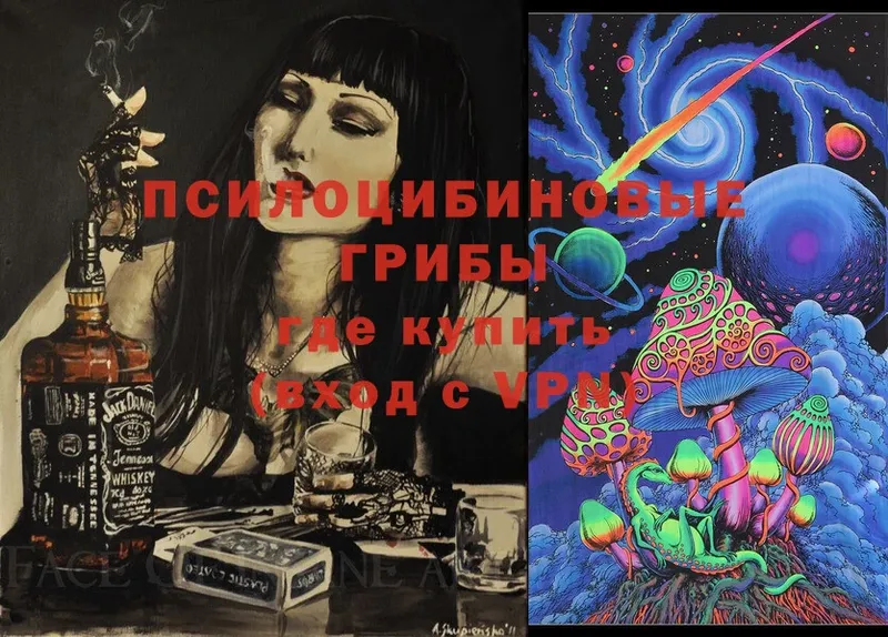 Галлюциногенные грибы Magic Shrooms  Тюкалинск 